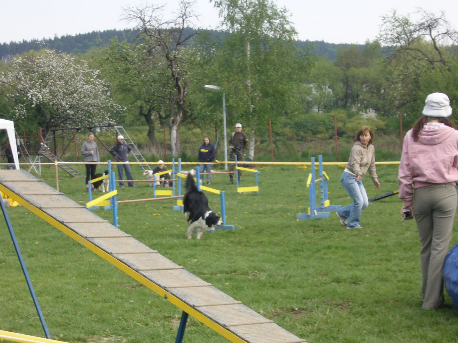 P1010035.JPG